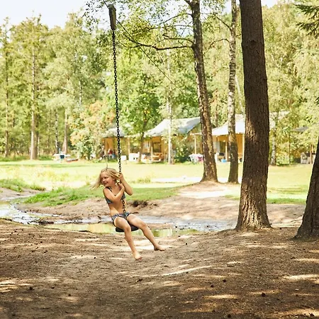 Rcn De Flaasbloem Tatil parkı