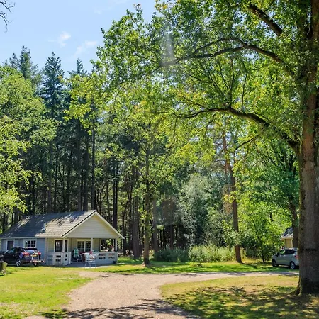 Tatil parkı Rcn De Flaasbloem