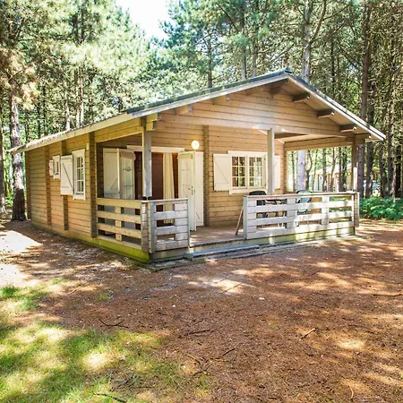Rcn De Flaasbloem Tatil parkı 5*