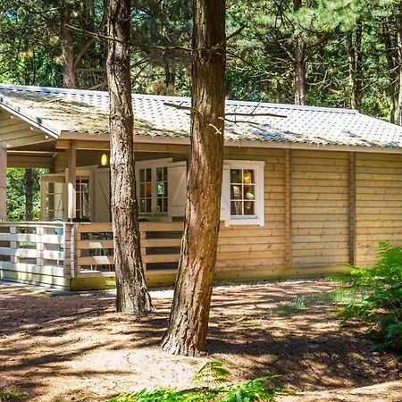 Tatil parkı Rcn De Flaasbloem Chaam
