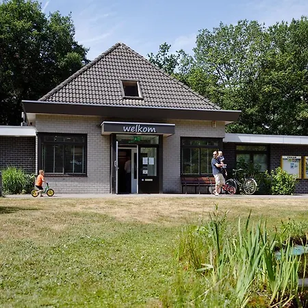 Rcn De Flaasbloem Tatil parkı 5*