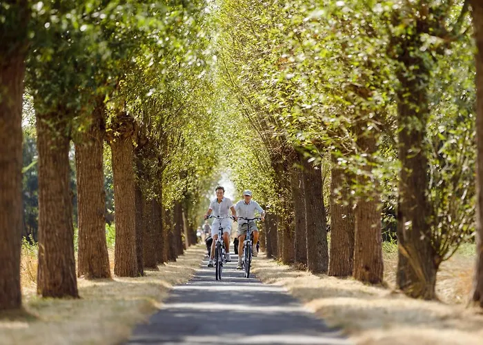 Rcn De Flaasbloem Üdülőpark 5*
