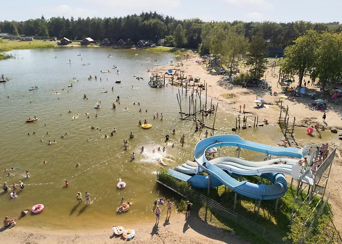 Rcn De Flaasbloem Chaam